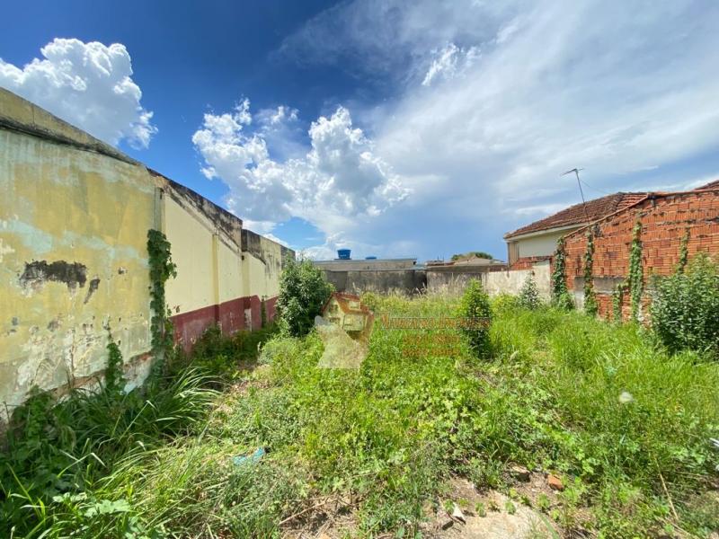 LOTE BAIRRO CARMELO