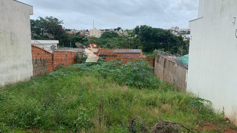 LOTE BAIRRO NOVO MUNDO