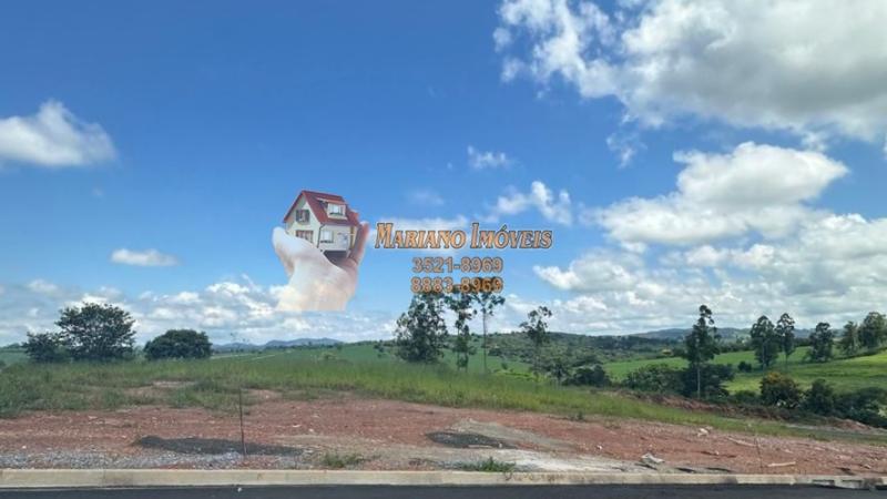 LOTE ALTO DOS MAIAS