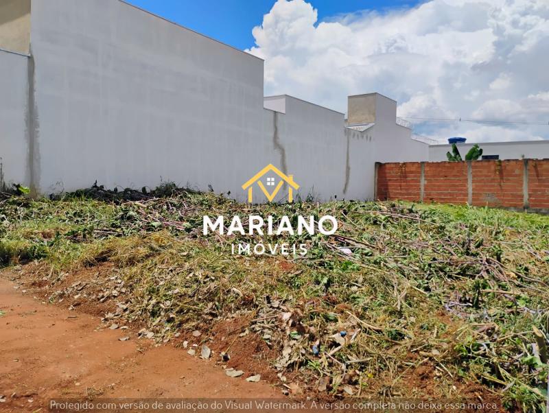 LOTE - NOVA PASSOS 2