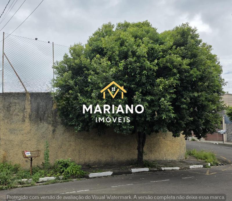 LOTE - UMUARAMA 