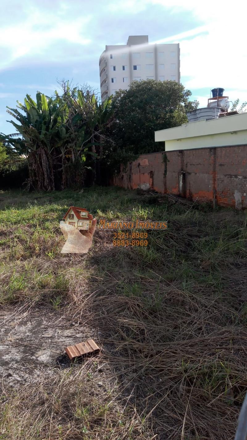 LOTE CENTRAL